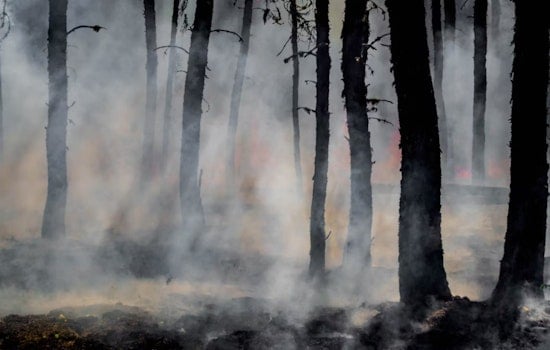 Pasco Brush Fire Near State Road 52 Chokes Conner Preserve With Smoke