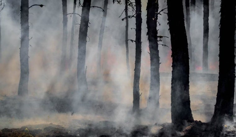 Pasco Brush Fire Near State Road 52 Chokes Conner Preserve With Smoke