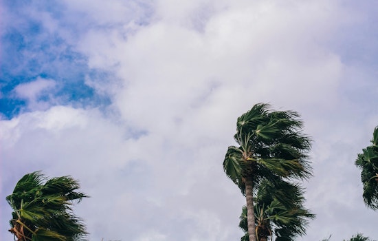 Pasco Rolls Out Storm-Survival Playbook As Hurricane Season Looms