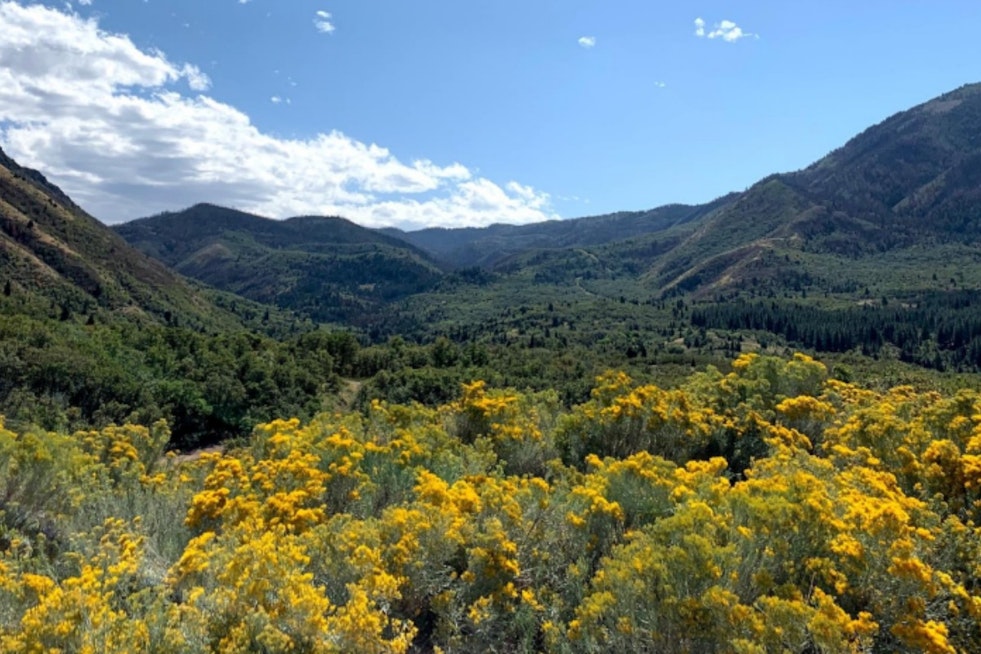 Payson Scores Big, Locks In 480 Acres of Canyon Playground Forever