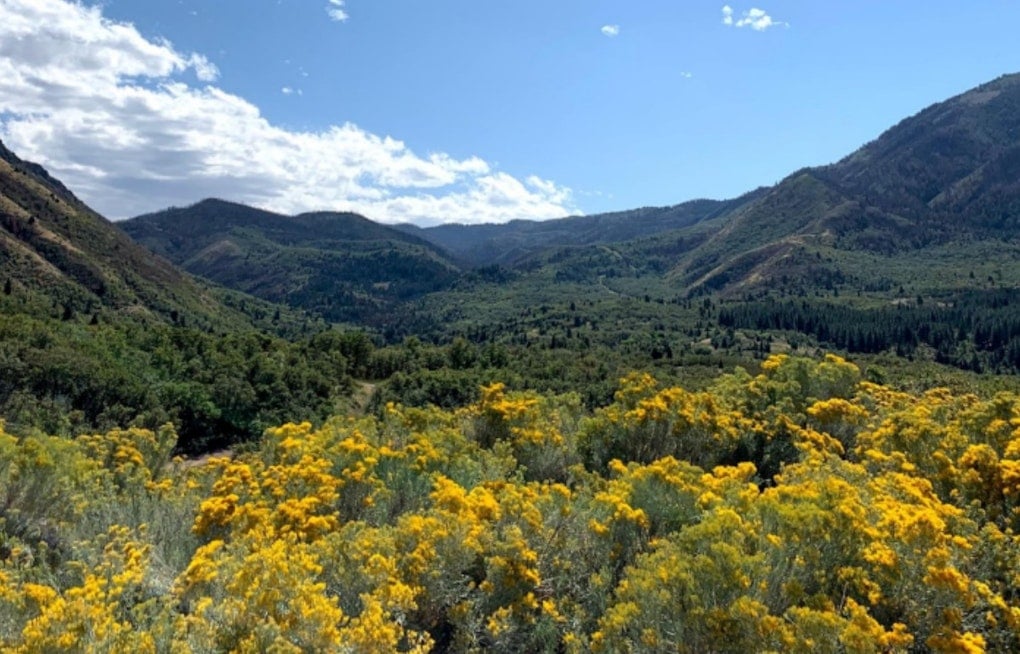 Payson Scores Big, Locks In 480 Acres of Canyon Playground Forever