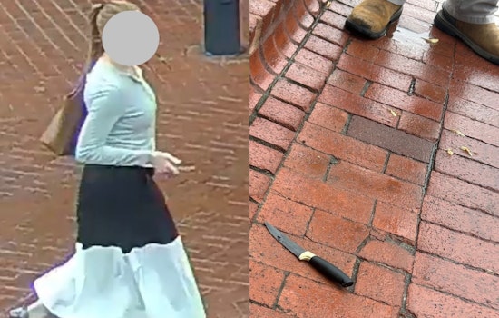 Pearl Street Panic As Knife-Wielding Suspect Taken Down In Minutes