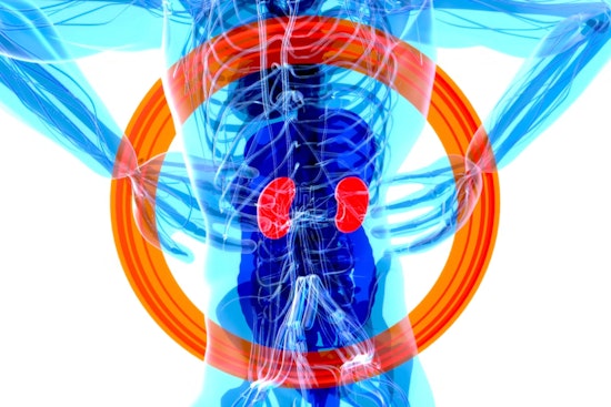 Penn CAR‑T Trial Teases New Hope For Kidney Failure Patients