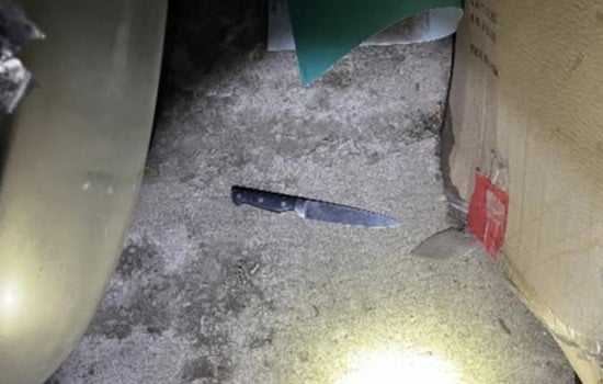 Pepper Balls Fly As Commerce City Cops Collar Knife Suspect