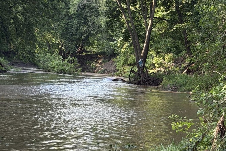 Pettis County Driver And Dog Hang On To Tree For 8 Hours After Flood Sweep