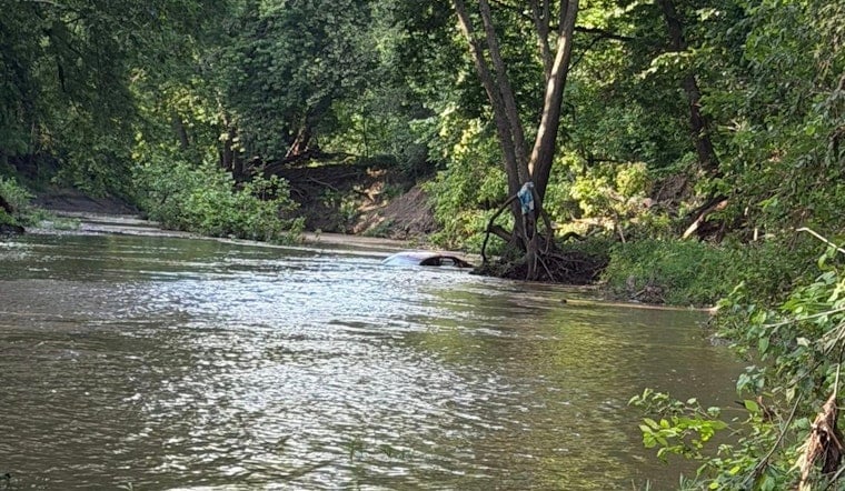 Pettis County Driver And Dog Hang On To Tree For 8 Hours After Flood Sweep