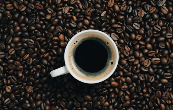 Philz Coffee Plots Tarzana Ventura Blvd Takeover