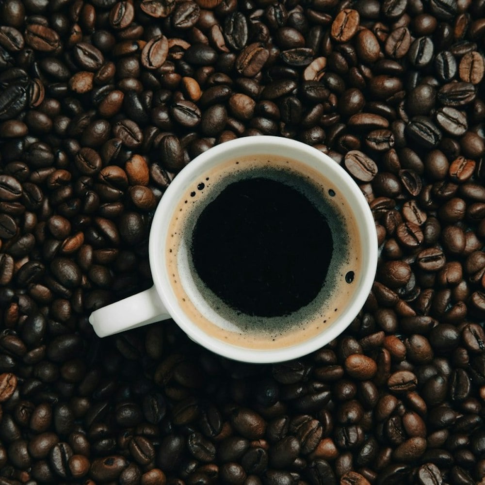 Philz Coffee Plots Tarzana Ventura Blvd Takeover