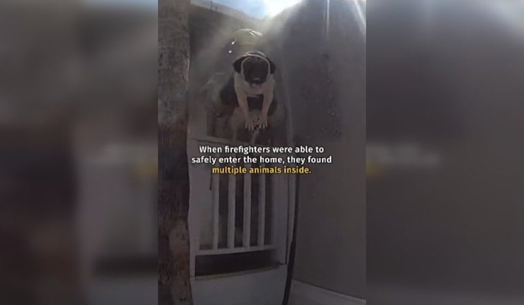 Phoenix Cops Charge Into Burning Trailer to Save Four Pugs and a Turtle