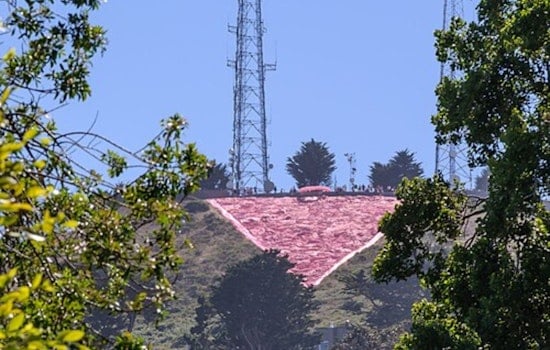 Pink Triangle Sprawls Over Twin Peaks As Pride And Budget Fights Collide