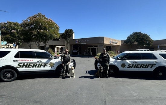 Pipe Bomb Scare Triggers Full Bomb Squad Sweep At Los Gatos Hospital