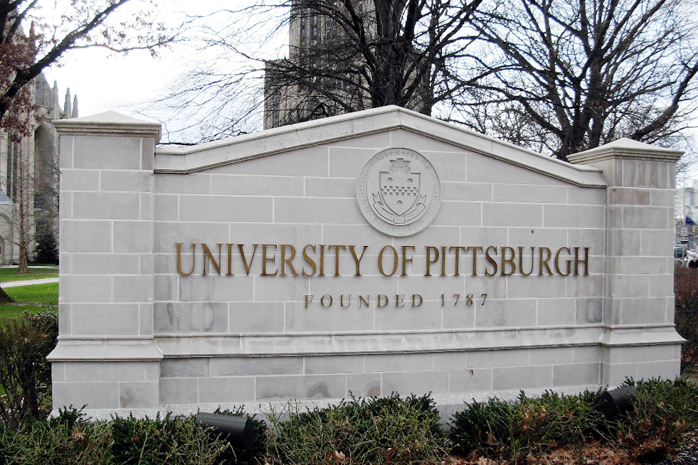 Pitt Study Finds Spinal Stimulation Boosts Arm Strength