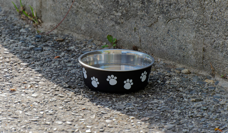 Pittsburgh Pet Pantry Closes After Landlord Threats