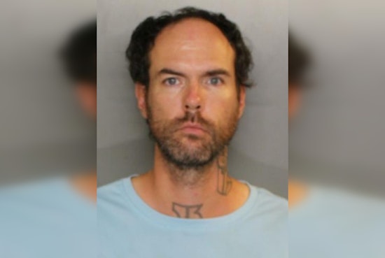 Port Charlotte Babysitting Nightmare, Man Busted in Alleged 'Lion King' Molest Case