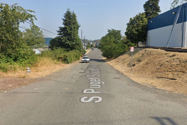 Pregnant Tacoma Woman Knocked Down In Chaotic Street Dog Attack