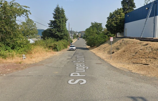 Pregnant Tacoma Woman Knocked Down In Chaotic Street Dog Attack