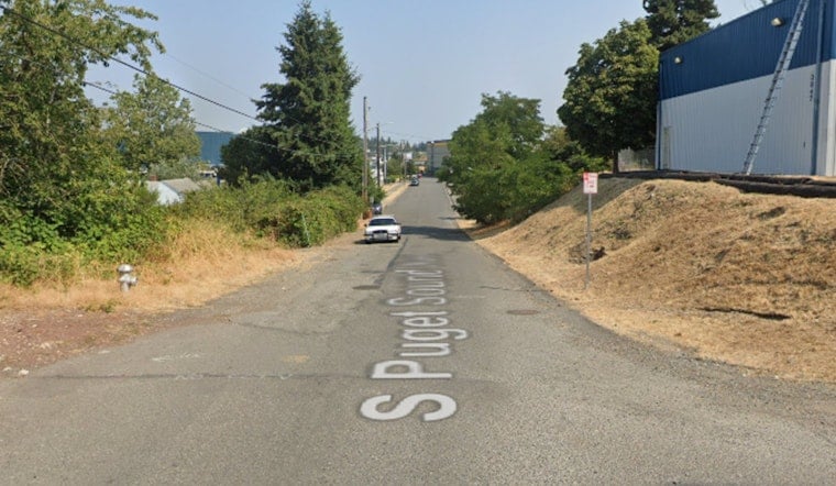 Pregnant Tacoma Woman Knocked Down In Chaotic Street Dog Attack