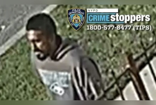 Queens Village Creep Gropes Girl, 13, in Early-Morning Street Attack