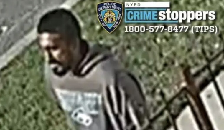 Queens Village Creep Gropes Girl, 13, in Early-Morning Street Attack