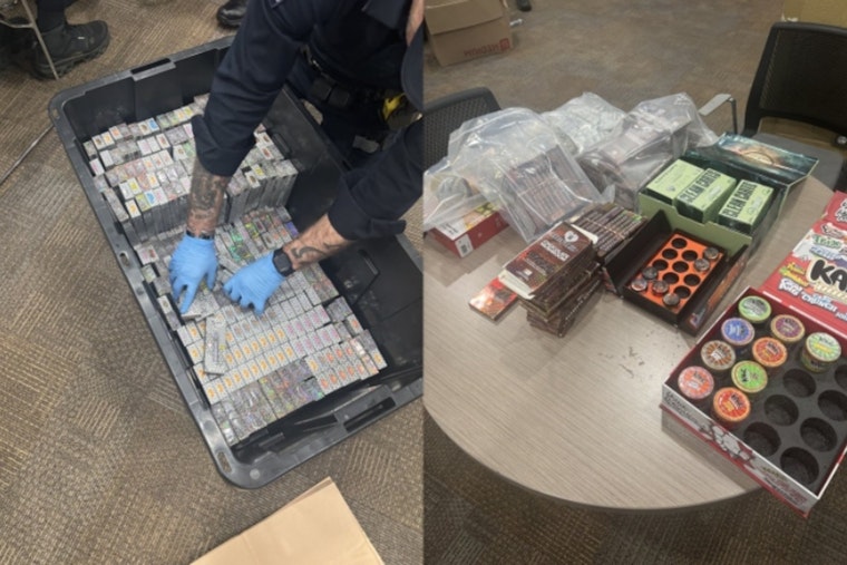 Quiet North Charlotte Block Rocked By $50K THC Bust, Cash Haul And Gun Seizure