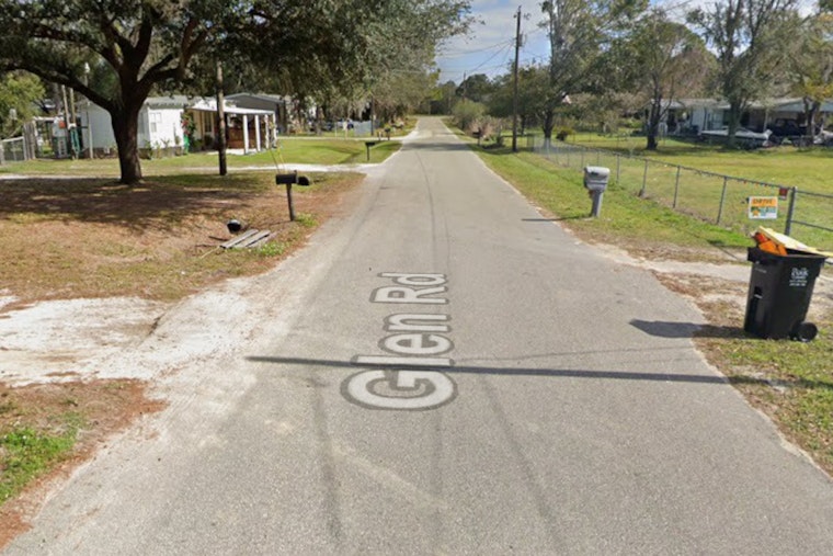 Rabid Stray Cat Terrorizes Lakeland Block, Bites 5 And Mauls Puppy