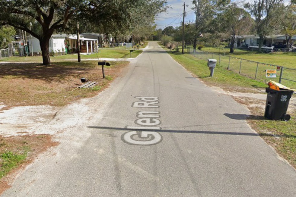 Rabid Stray Cat Terrorizes Lakeland Block, Bites 5 And Mauls Puppy
