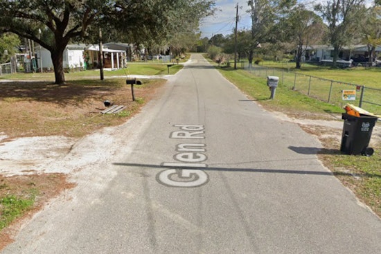 Rabid Stray Cat Terrorizes Lakeland Block, Bites 5 And Mauls Puppy