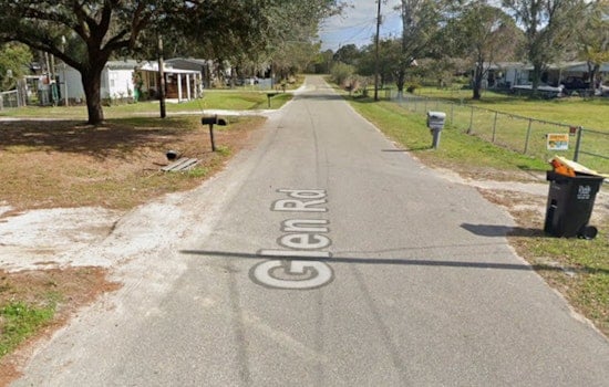 Rabid Stray Cat Terrorizes Lakeland Block, Bites 5 And Mauls Puppy