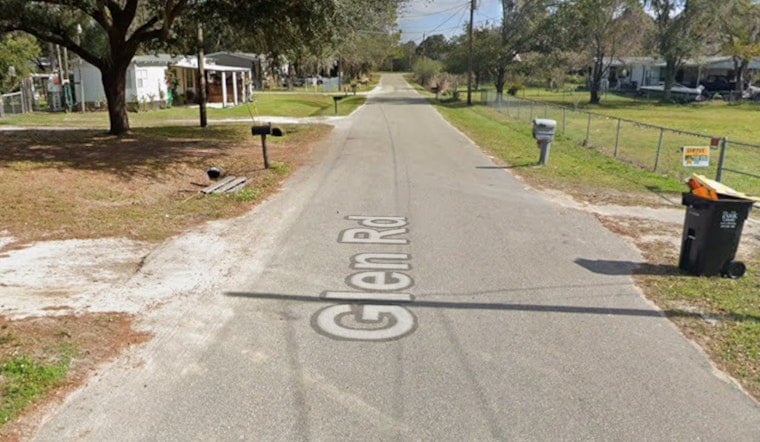 Rabid Stray Cat Terrorizes Lakeland Block, Bites 5 And Mauls Puppy