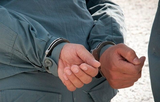 Raisin Heir Arrested in Pacific Palisades After Alleged Harassment