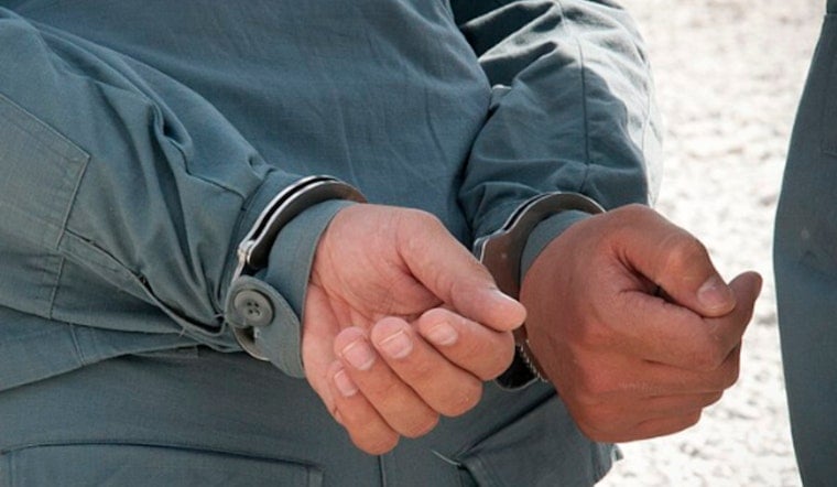 Raisin Heir Arrested in Pacific Palisades After Alleged Harassment