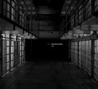 Raleigh Sex Offender Nabbed In Feds' Immigration Fraud Crackdown