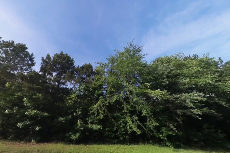 Raleigh's 24K-Tree Goal Faces Funding Gap