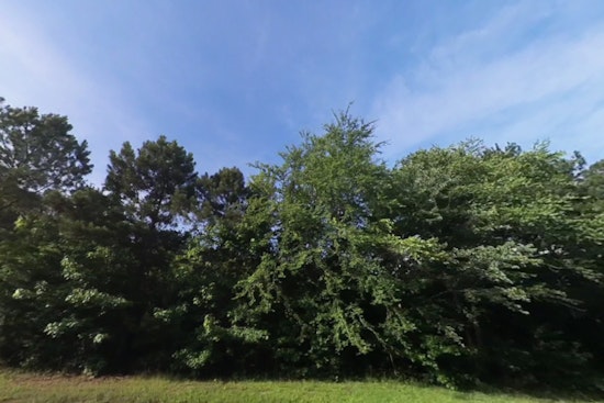 Raleigh's 24K-Tree Goal Faces Funding Gap