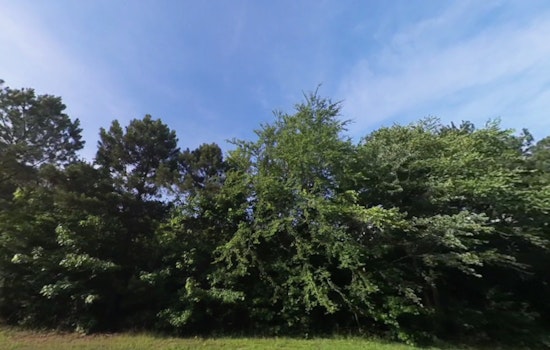 Raleigh's 24K-Tree Goal Faces Funding Gap