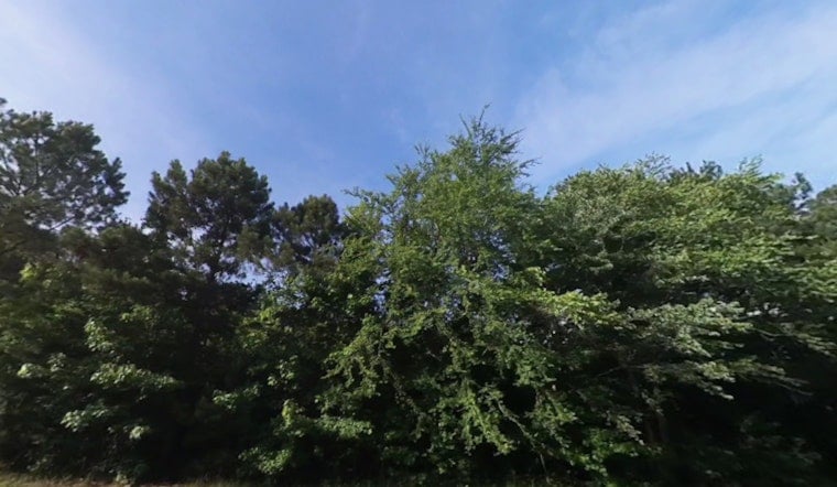 Raleigh's 24K-Tree Goal Faces Funding Gap