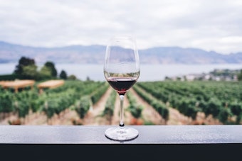 Ramona Wine Country Rocked by Costly Crackdown on Mom-and-Pop Tasting Rooms
