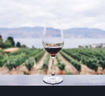 Ramona Wine Country Rocked by Costly Crackdown on Mom-and-Pop Tasting Rooms