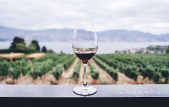 Ramona Wine Country Rocked by Costly Crackdown on Mom-and-Pop Tasting Rooms