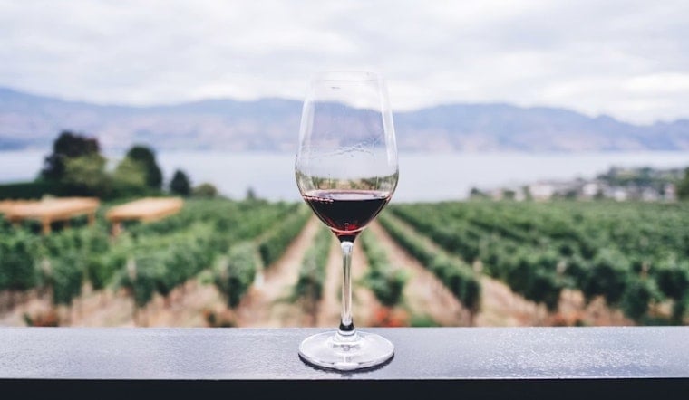 Ramona Wine Country Rocked by Costly Crackdown on Mom-and-Pop Tasting Rooms