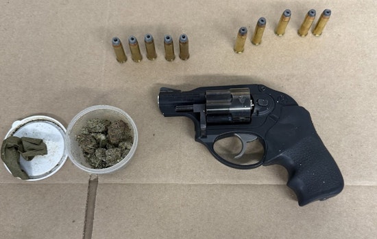 Red Line Blunt Rolling at 69th Ends With Loaded Gun Bust, Cops Say