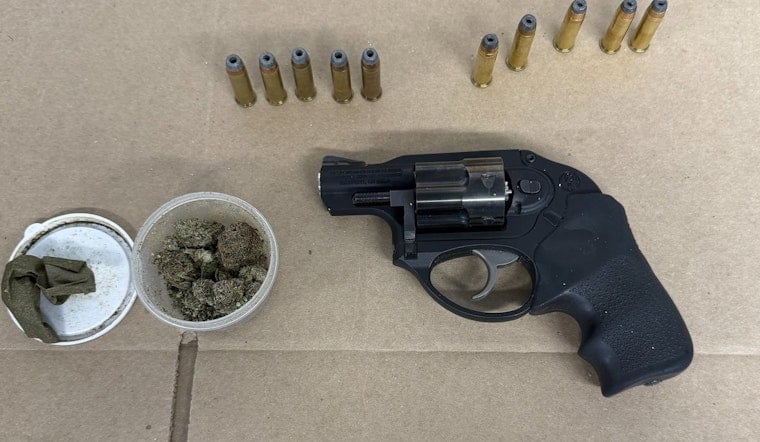 Red Line Blunt Rolling at 69th Ends With Loaded Gun Bust, Cops Say