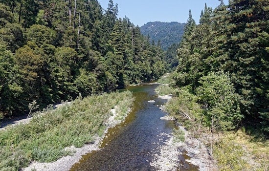 Redwood Creek Turns Ghost-White As Broadband Drill Job Goes Sideways