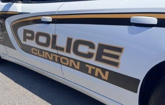 Roaming Bear Rattles North Clinton, Triggers Police Warning