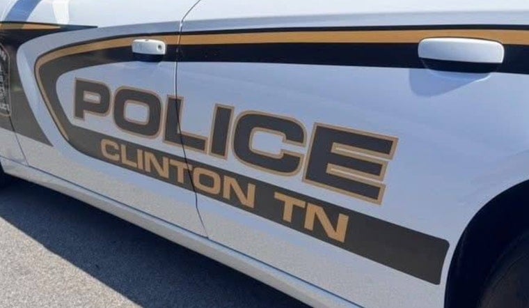 Roaming Bear Rattles North Clinton, Triggers Police Warning