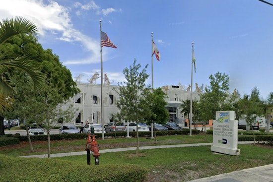 Roaming Dog Pack Turns Miami Beach Block Into Cat-Killing Fear Zone