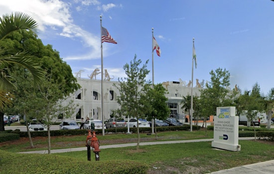 Roaming Dog Pack Turns Miami Beach Block Into Cat-Killing Fear Zone