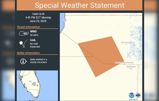 Roaring 50 Mph Storm Bears Down On Lion Country Safari