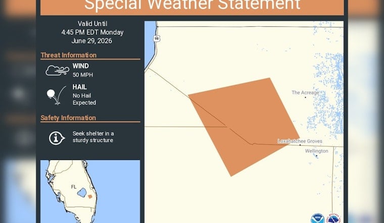 Roaring 50 Mph Storm Bears Down On Lion Country Safari