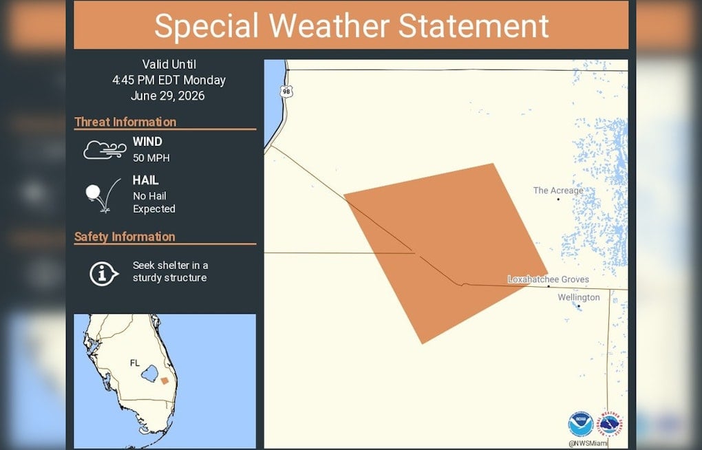 Roaring 50 Mph Storm Bears Down On Lion Country Safari